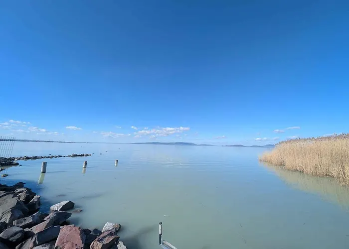 Vakantiehuis Unit_type_semidetached_house 55121